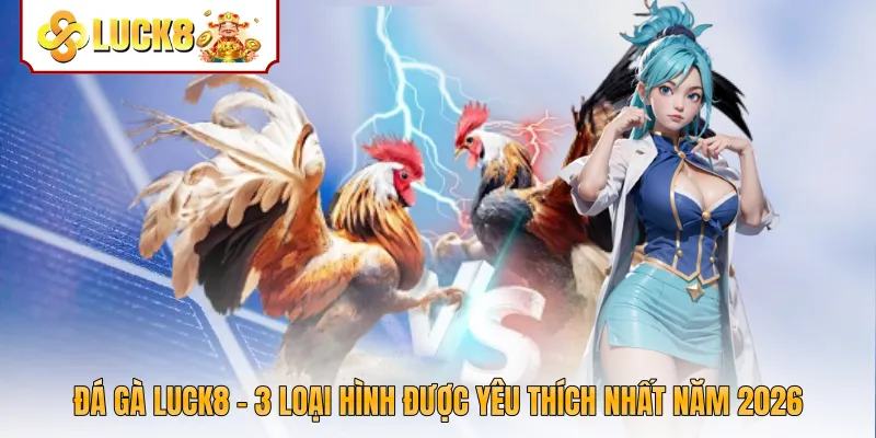 Đá Gà Luck8 - 3 Loại Hình Được Yêu Thích Nhất Năm 2026