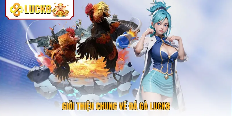 Giới thiệu chung về đá gà Luck8